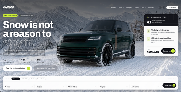 AVAVA Car Marketplace template — the winter home page with the search rail
