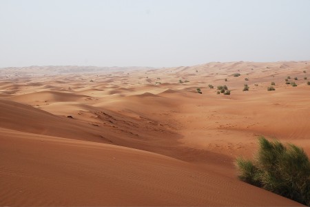 desert1