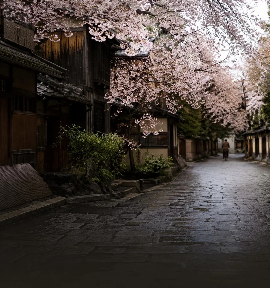 Spring — blossom over a Kyoto lane
