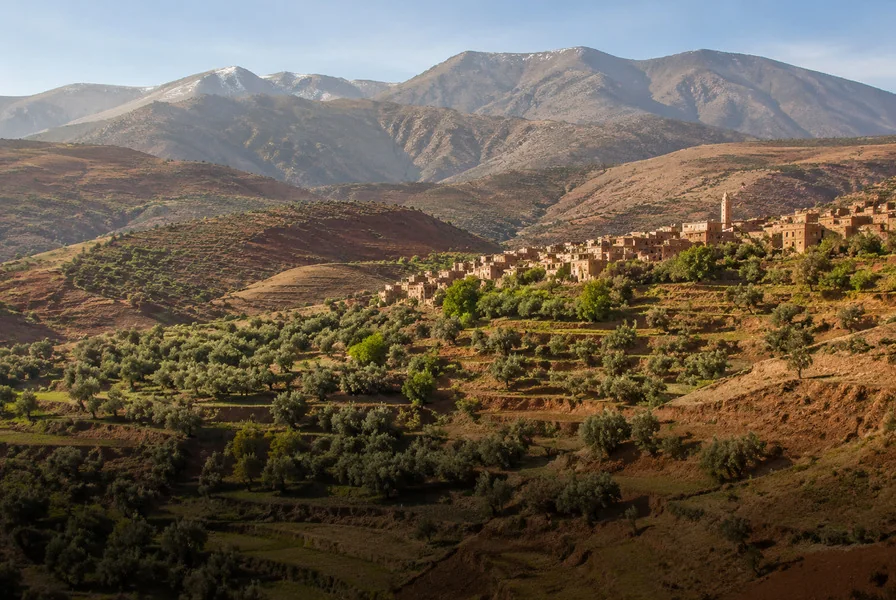 Terraces and a mule track in the Atlas foothills