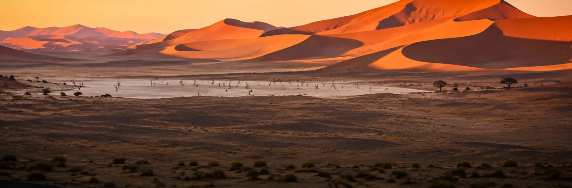A dune ridge throwing a long shadow, Sossusvlei