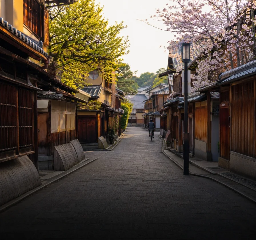 Blossom hanging over a canal in Kyoto